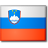 Slovenia flag