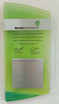 Microsoft Award